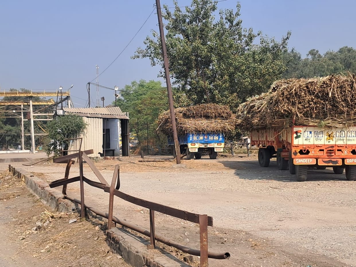 Sugarcane slips will be open until December 10th, crushing is expected to begin today.