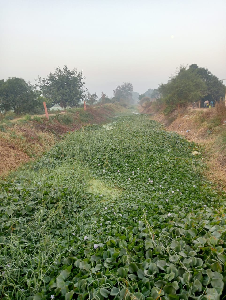 No water in the canal, farmers are worried about sowing wheat.