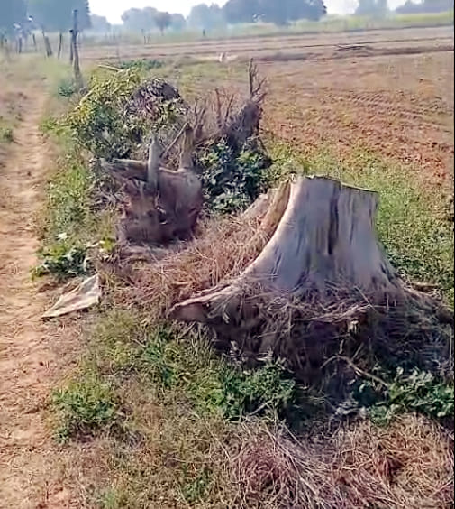 Measured several times, the Chak Marg was not freed from encroachment