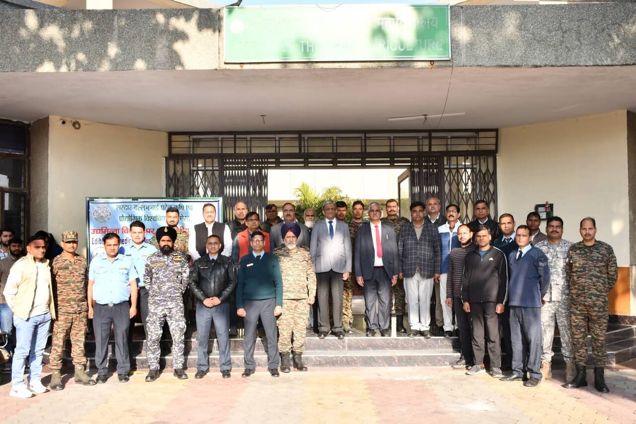 Earn more profit at low cost through mushroom cultivation: Vice Chancellor