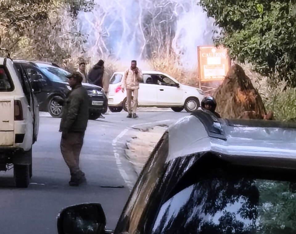 Vehicles stopped due to elephant coming on the road