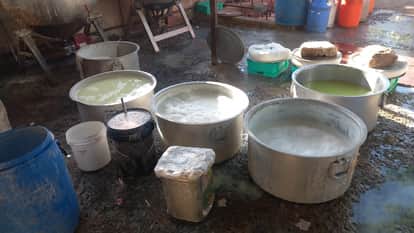 Fake milk-khoya and cheese coming from Rajasthan