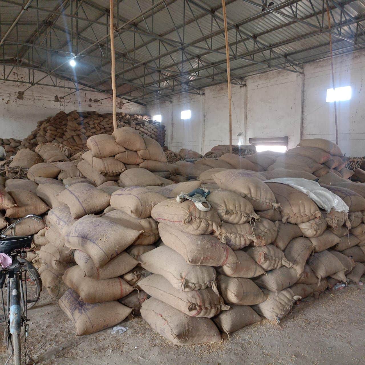 28 सीकेटीपी-6- परिचय- शहर के गल्ला मंडी परिसर की गोदाम में रखा धान। संवाद