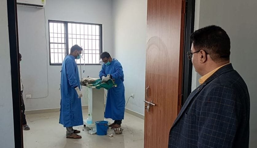 On the first day at the ABC center, 20 dogs were sterilized.