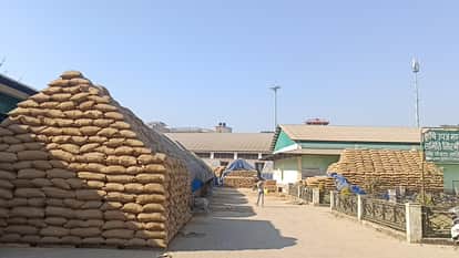 Paddy procurement completes in UP 6.2 million metric tons purchased nearly 15,000 crore paid