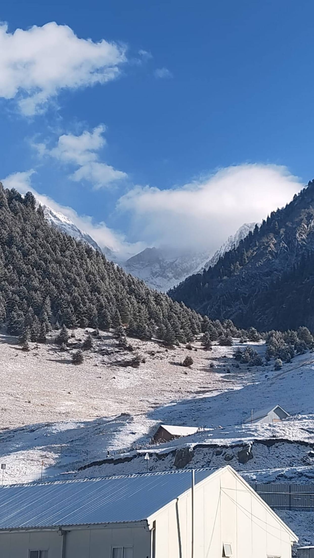 srinagar news, snowfall