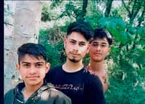 All three sons died within nine months, leaving the parents alone.