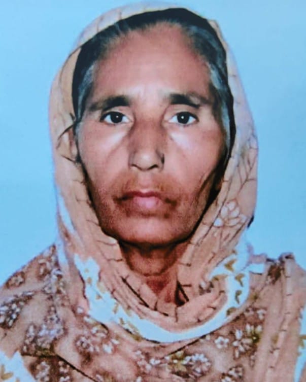 Woman crossing the road dies after being hit by a car