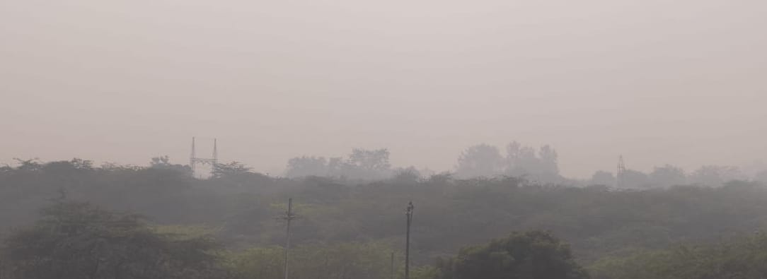 The average temperature has increased by two degrees in the last five years.