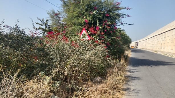 White and yellow stripes have disappeared from city roads