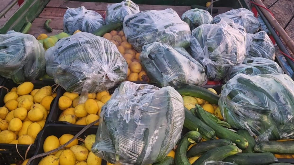 Animal smuggling in the guise of fruits and vegetables busted