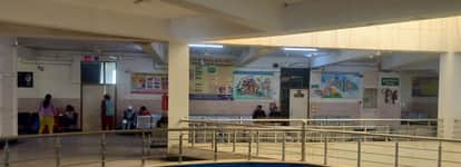 Bone and psychiatric patients wandered off; a staff nurse examined the patients.