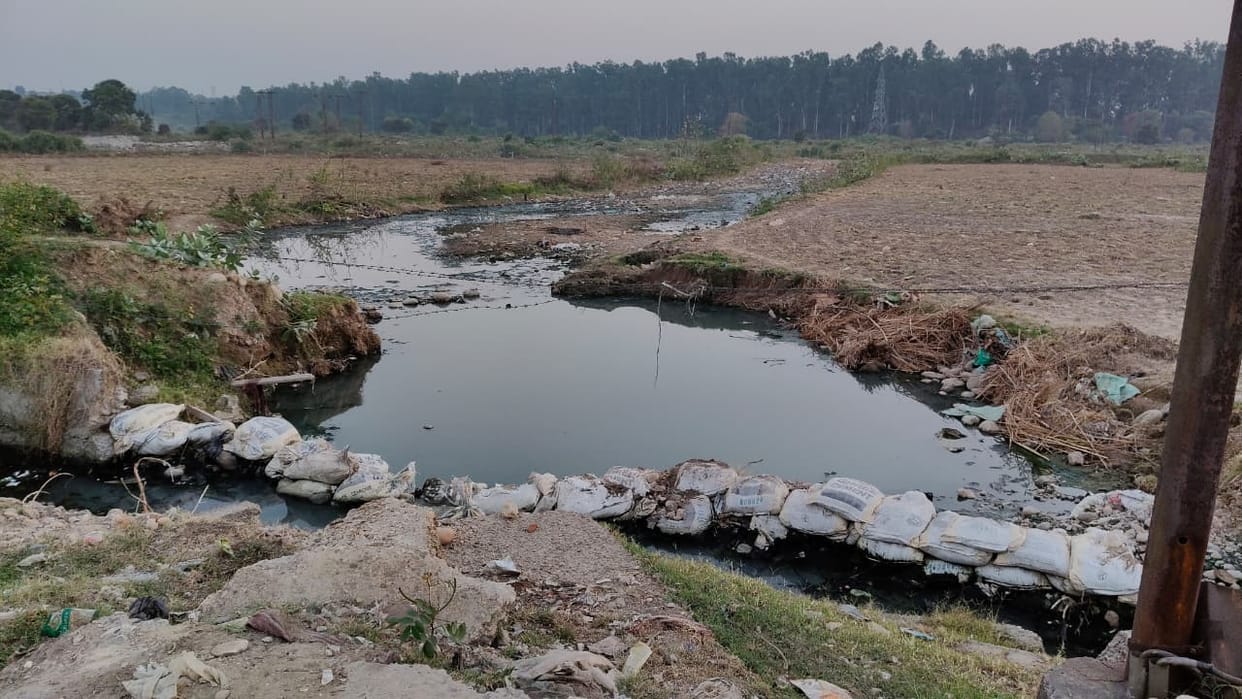 contaminated water