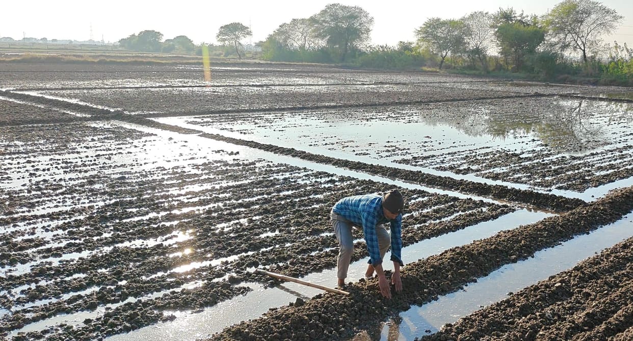 Half-hearted cleaning, Paraitha Minor overflows, 200 bighas of crops submerged