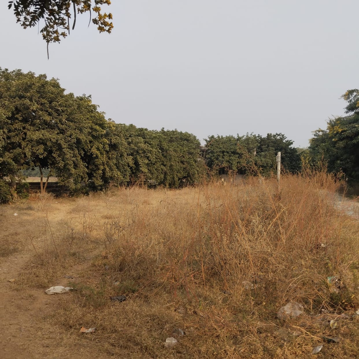 Dharuhera Sports Stadium on the verge of ruin