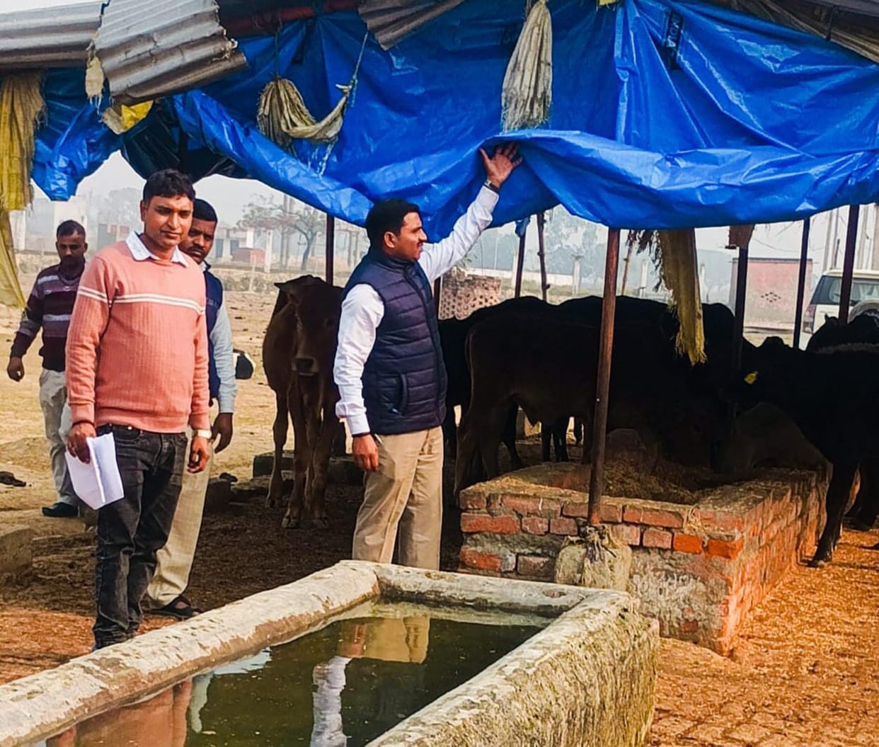 The BDO reprimanded the officials for the shortcomings at the cow shelter.