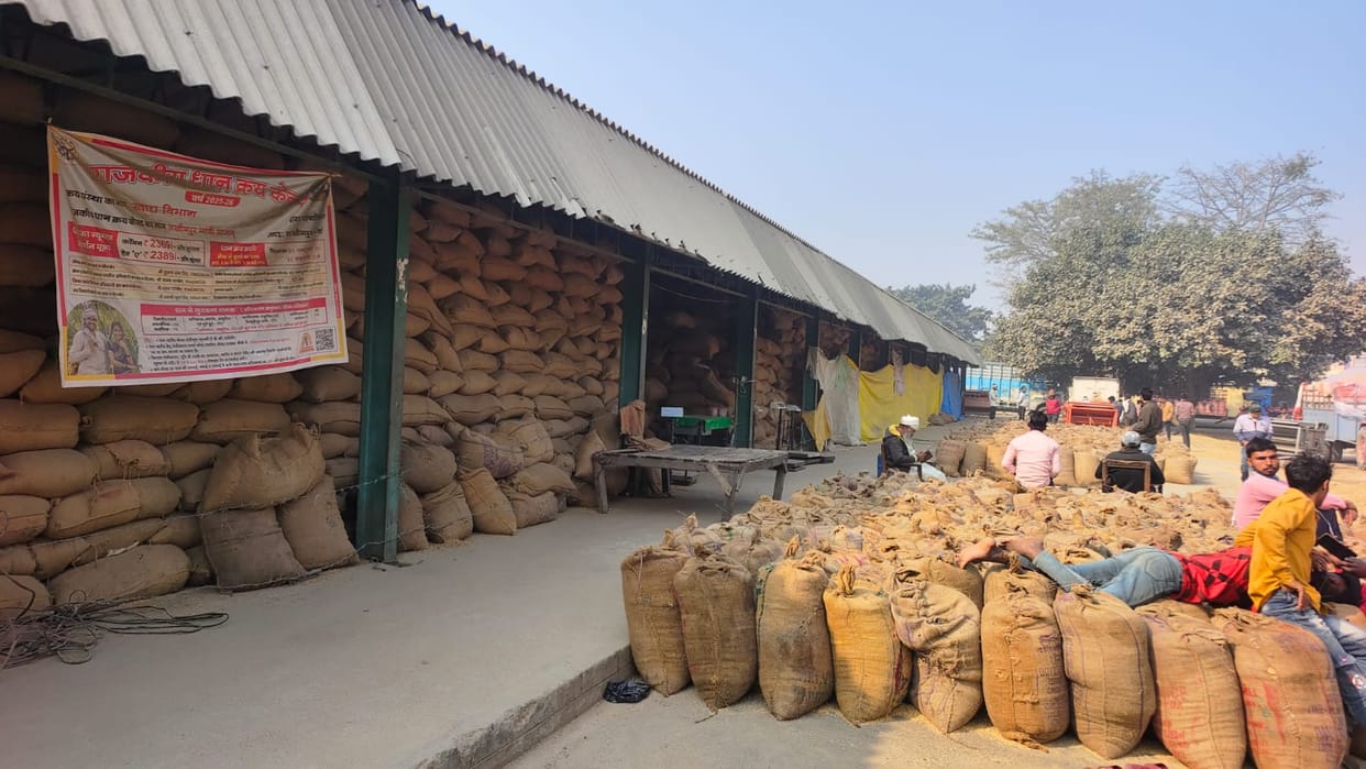 Paddy is gone from the fields... yet thousands of quintals are being purchased daily