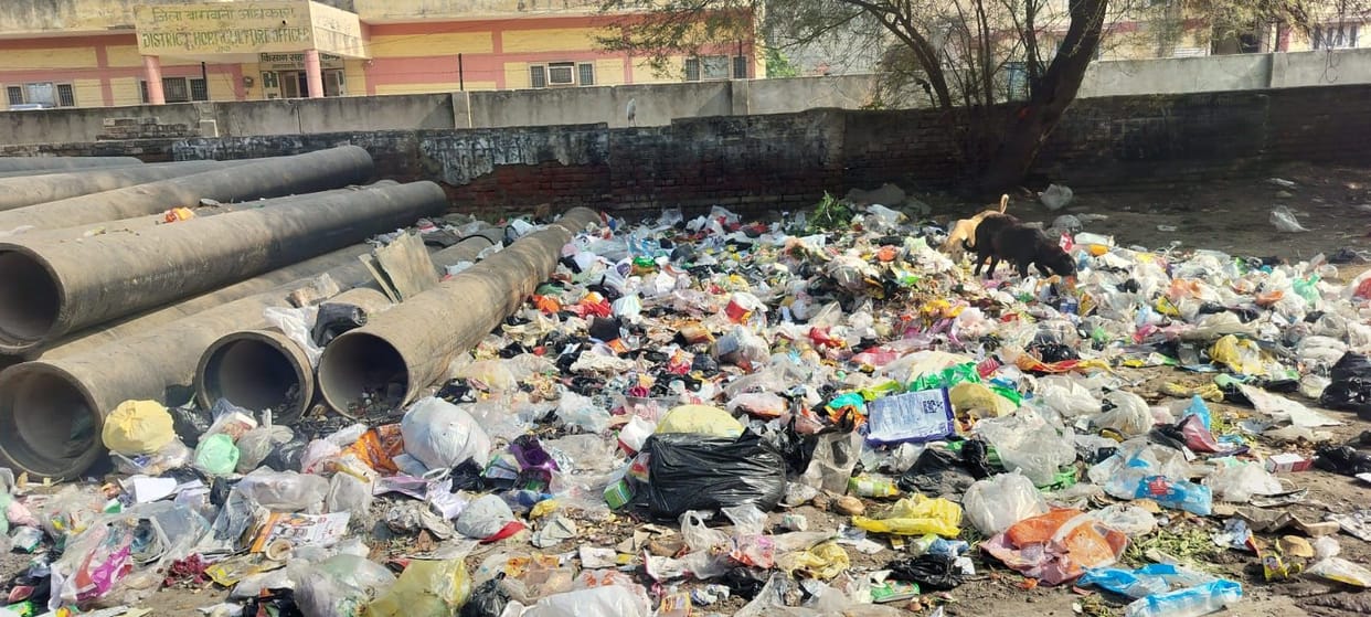 A tender has been issued for door-to-door waste collection; the city's sanitation had been stalled for five months due to the tender process.