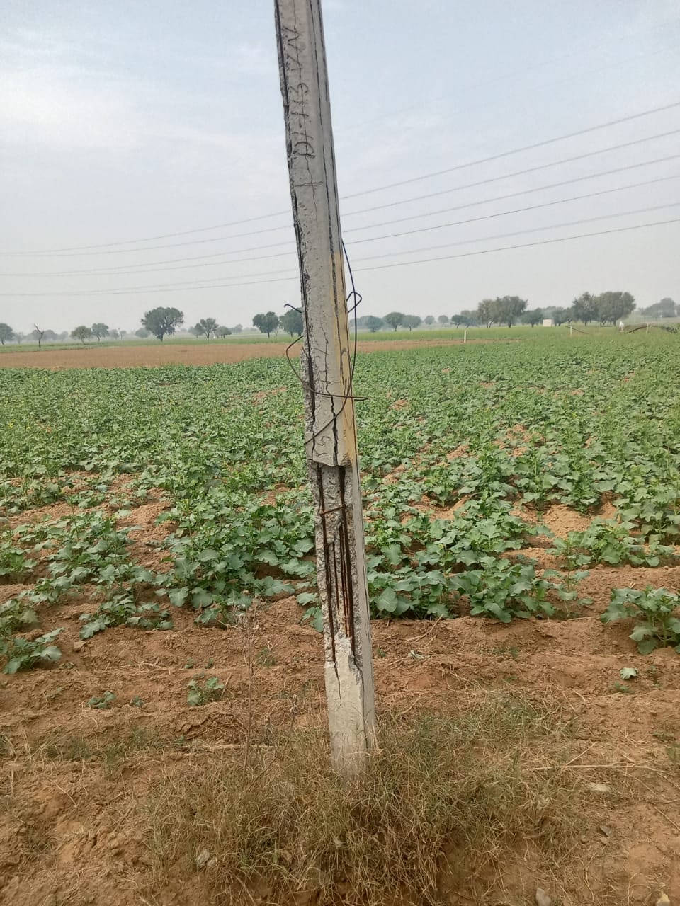 Farmers are troubled by the dilapidated condition of the electricity poles.