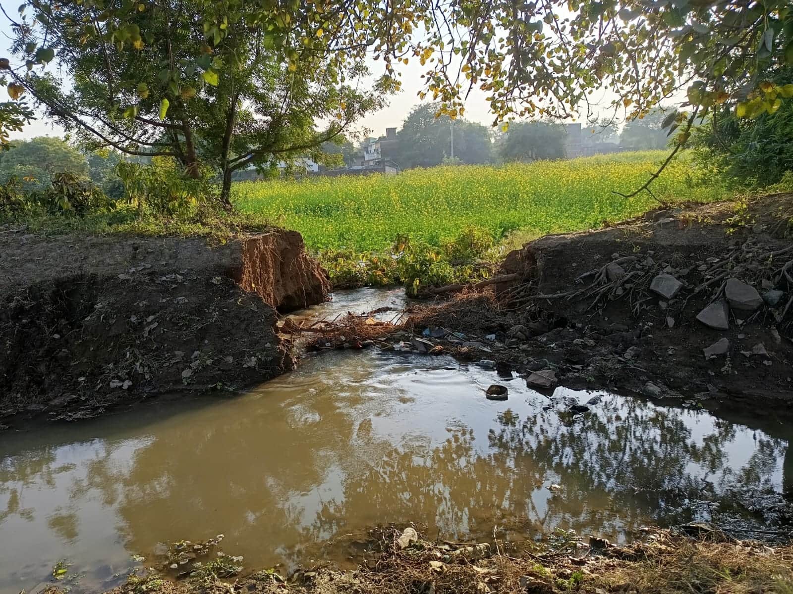 12 सीकेटीपी-14- परिचय-राजापुर क्षेत्र में कटी नहर से खेतों में भर रहा पानी। संवाद