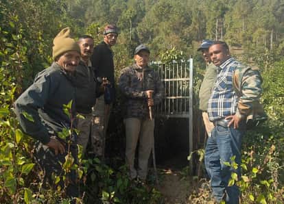 The leopard is not trapped in the forest department's cages.