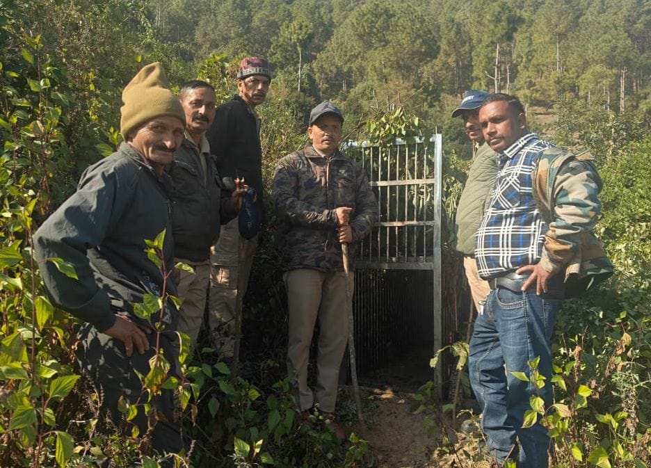 The leopard is not trapped in the forest department's cages.