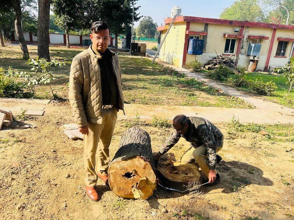 Green trees obstructing transformer installation were cut down; FIR filed against Assistant Engineer.