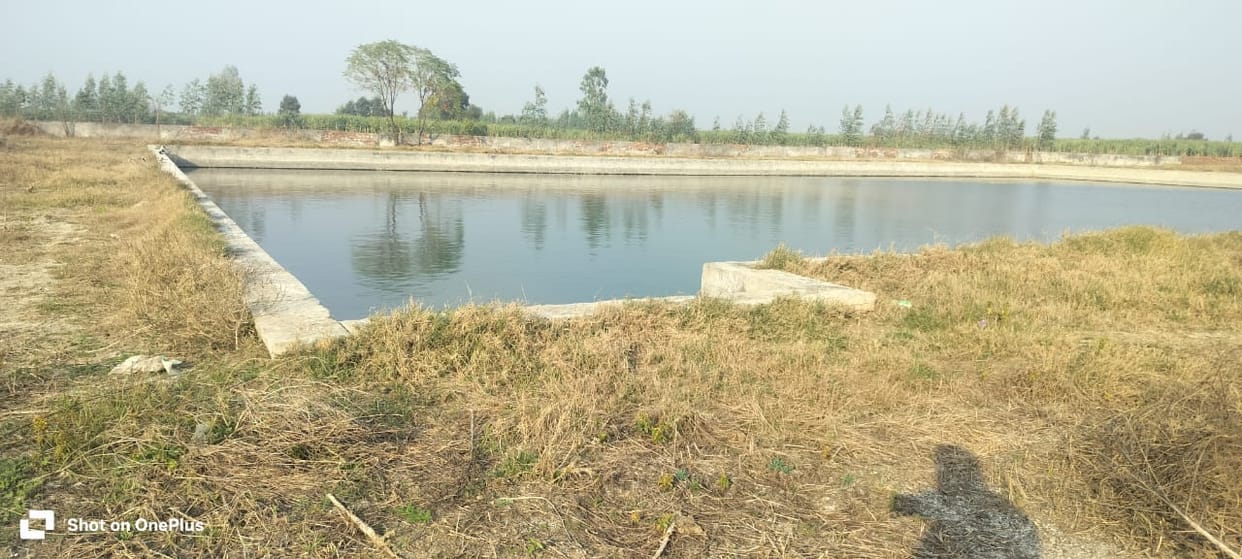 Villagers are forced to drink contaminated drinking water