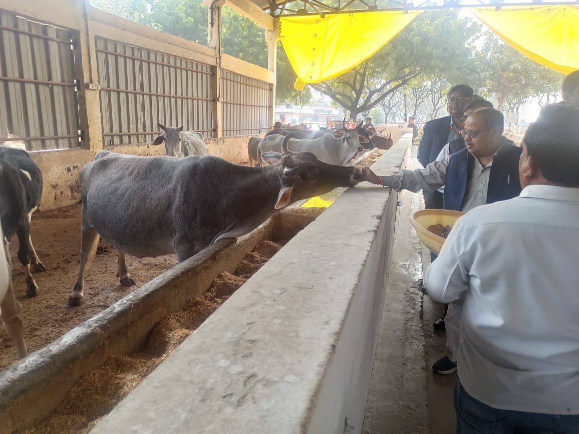 The Vice President of the Cow Service Commission inspected Kanha Upvan.