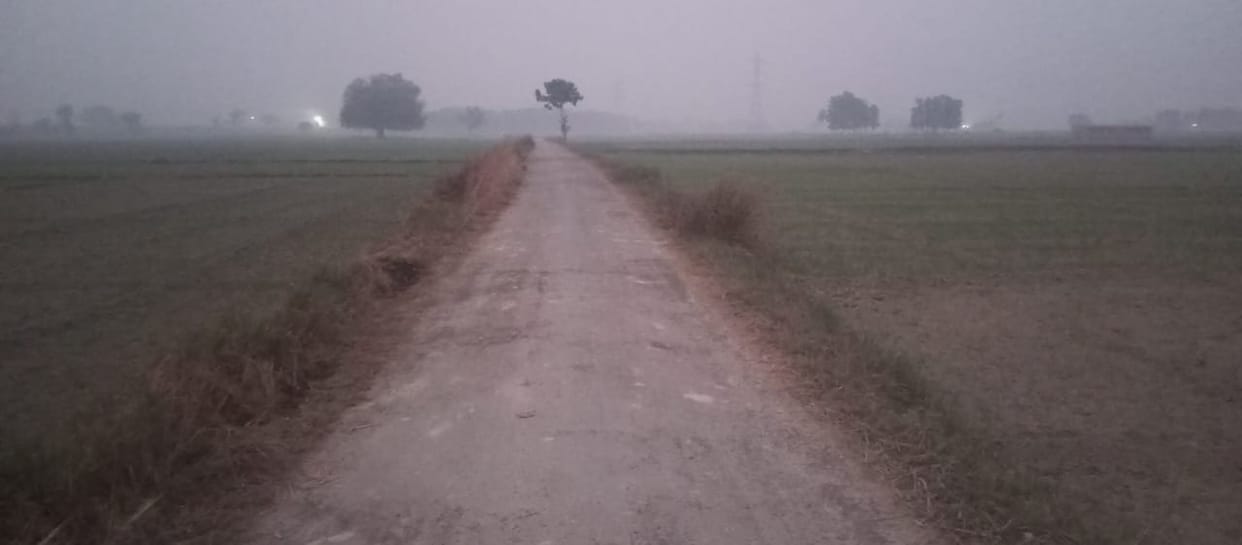 The appearance of two roads will change