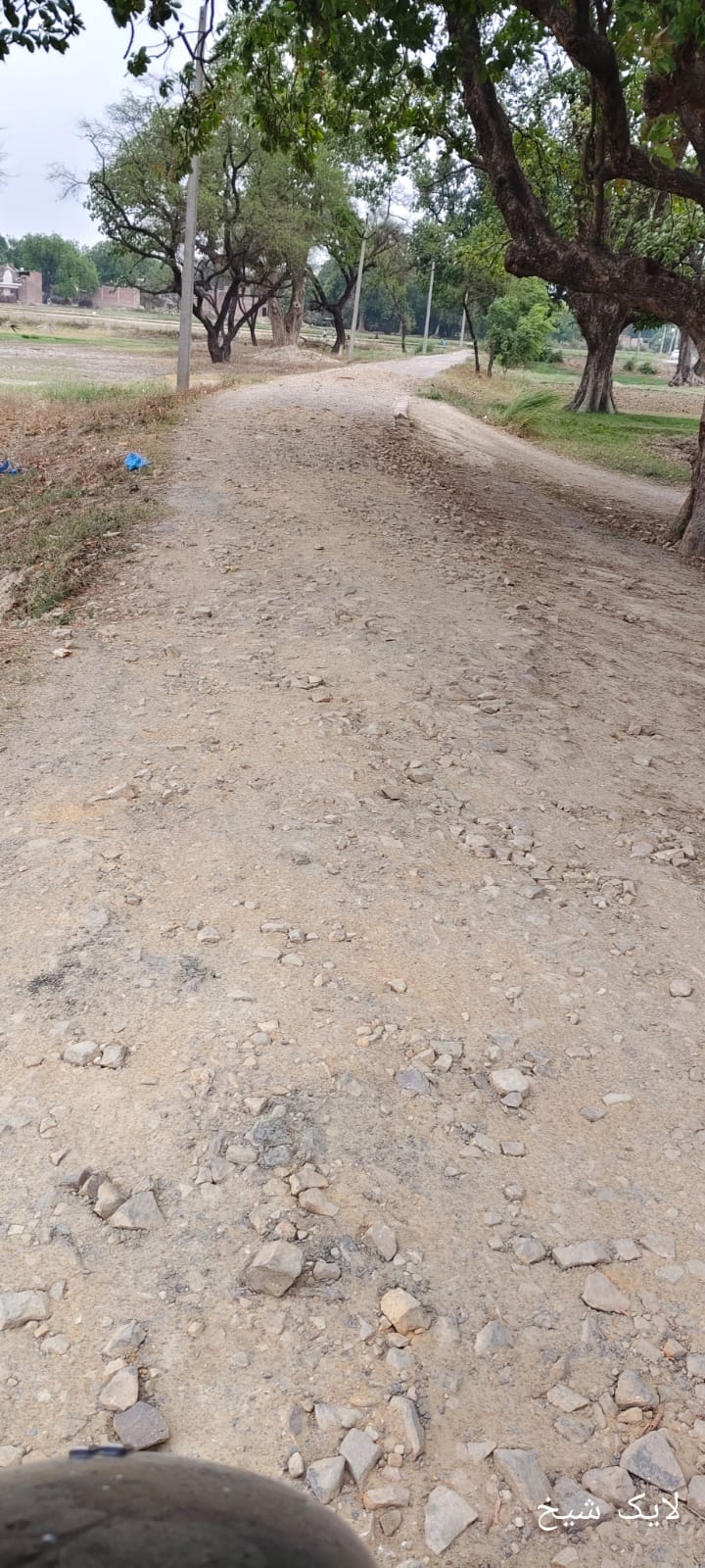 Development is far away...the bumps in the road can cause lifelong pain