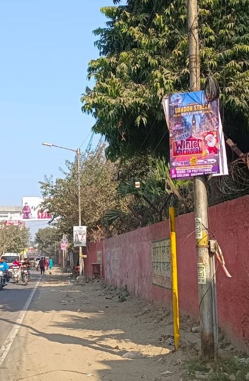 50 sites designated for hoardings, but more than 300 have been erected illegally.