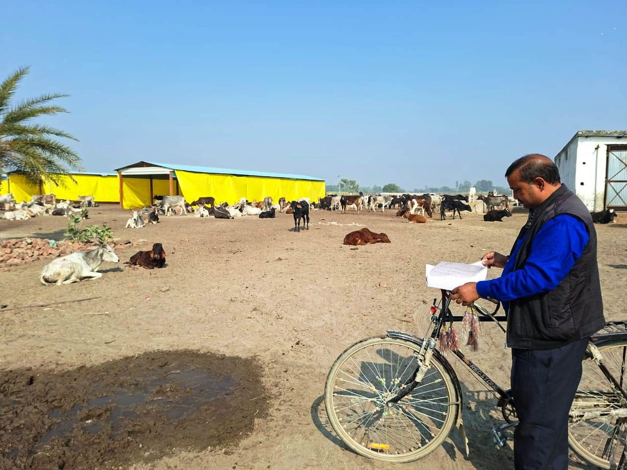 Inspection done by reaching the cowshed by bicycle