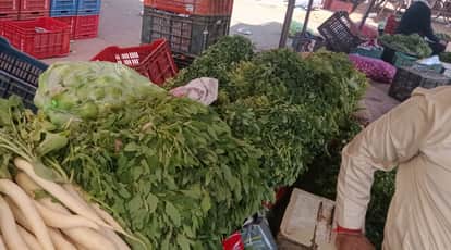 Mahendragarh's Bathua demand in Delhi is 50 quintals per day on an average.