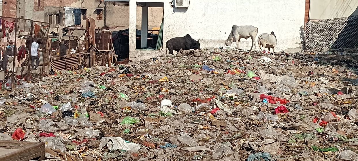 Piles of garbage in the vegetable market