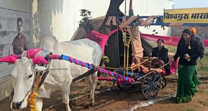 The Municipal Chairman operated the flour mill driven by bulls.