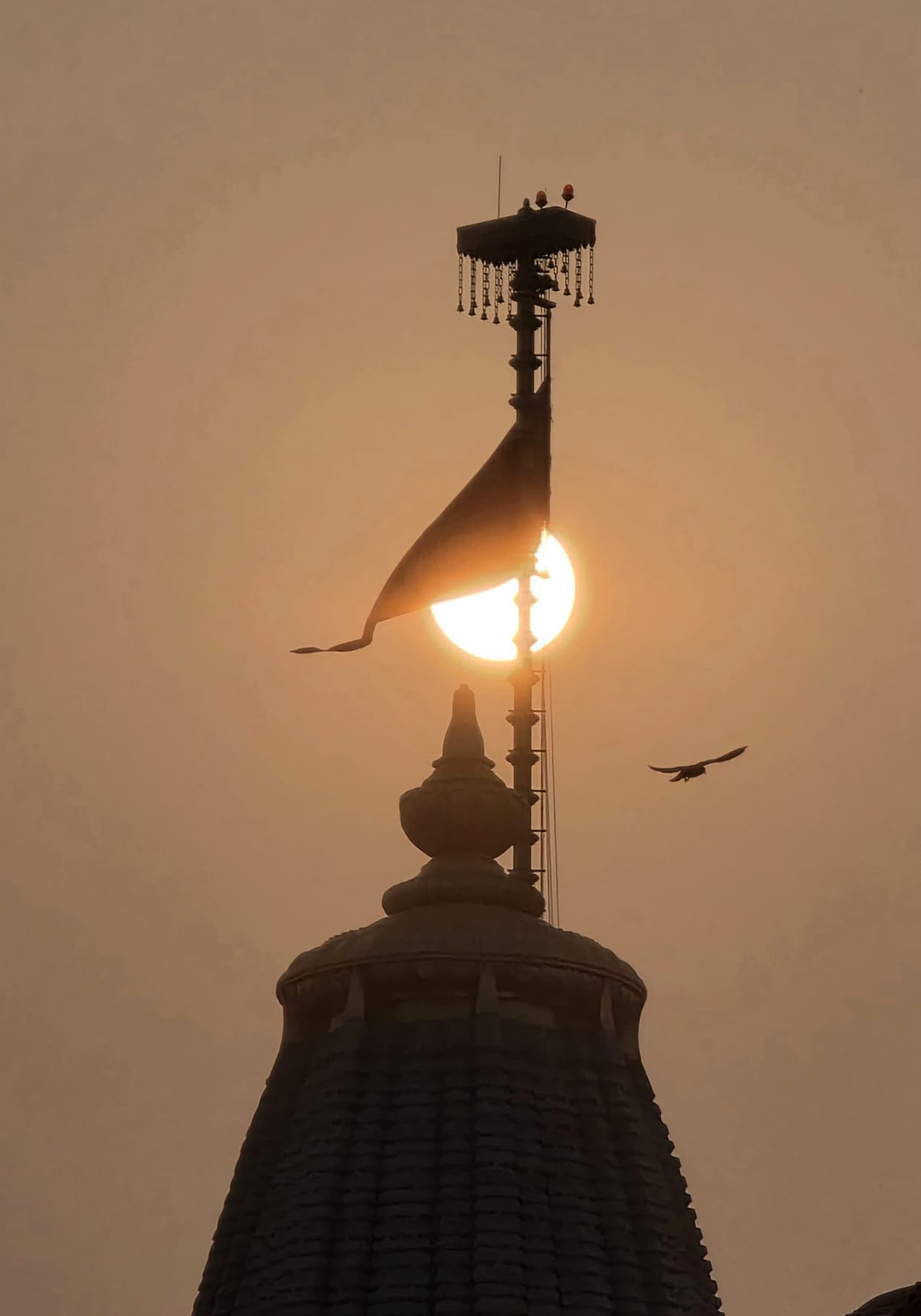 Flag hoisting will take place on the summit of seven temples on 31st.