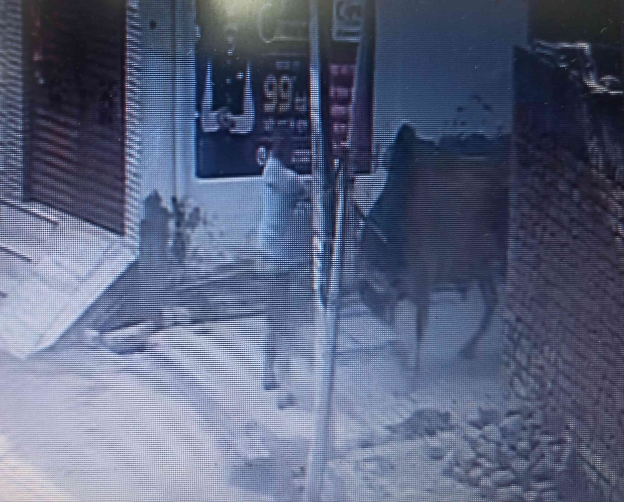 A young man died after being hit by a bull in Kalanaur, an elderly woman was seriously injured, and another man suffered a broken arm.
