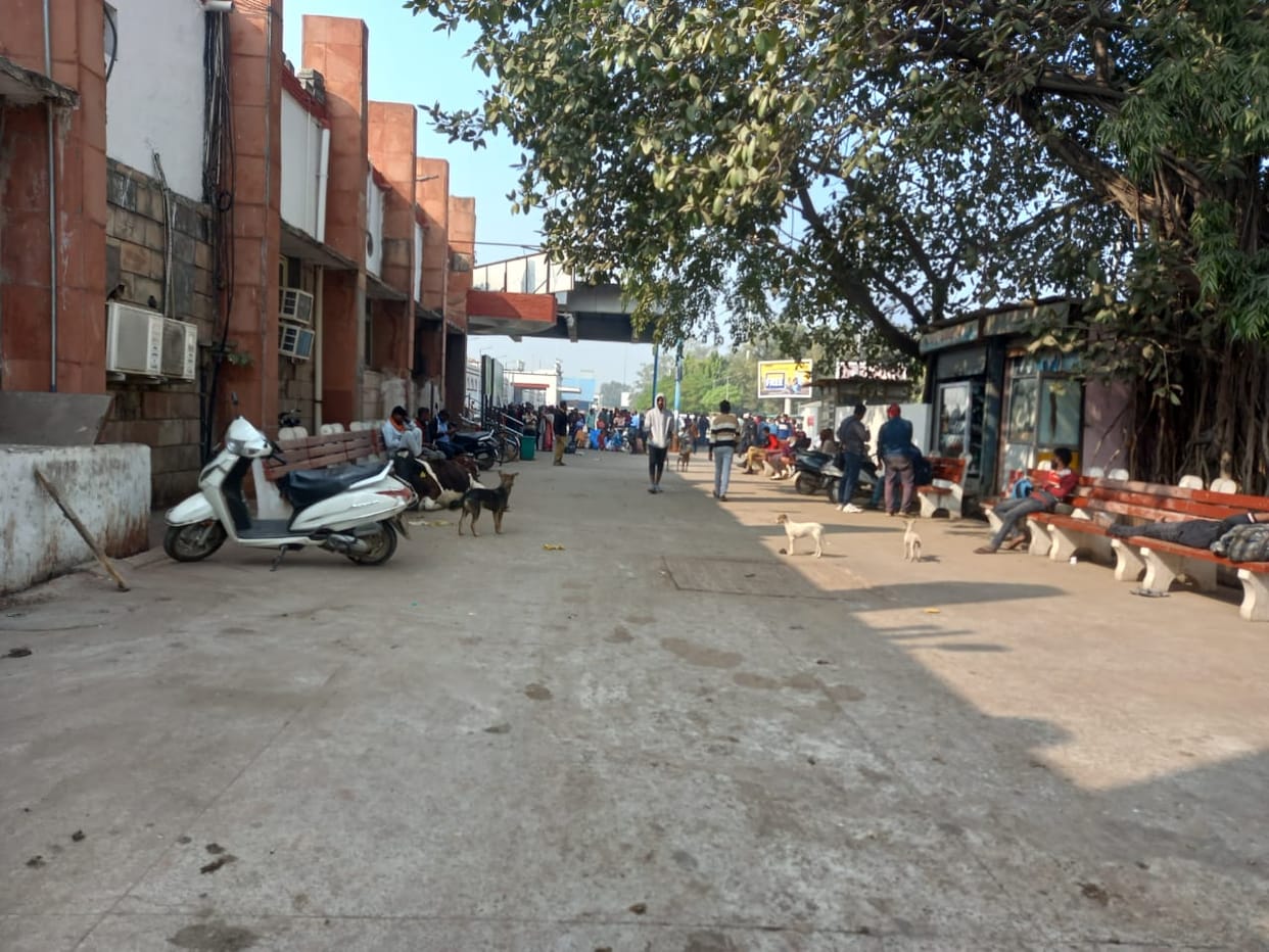 The dilapidated community center will be renovated and converted into a shelter home for stray dogs.