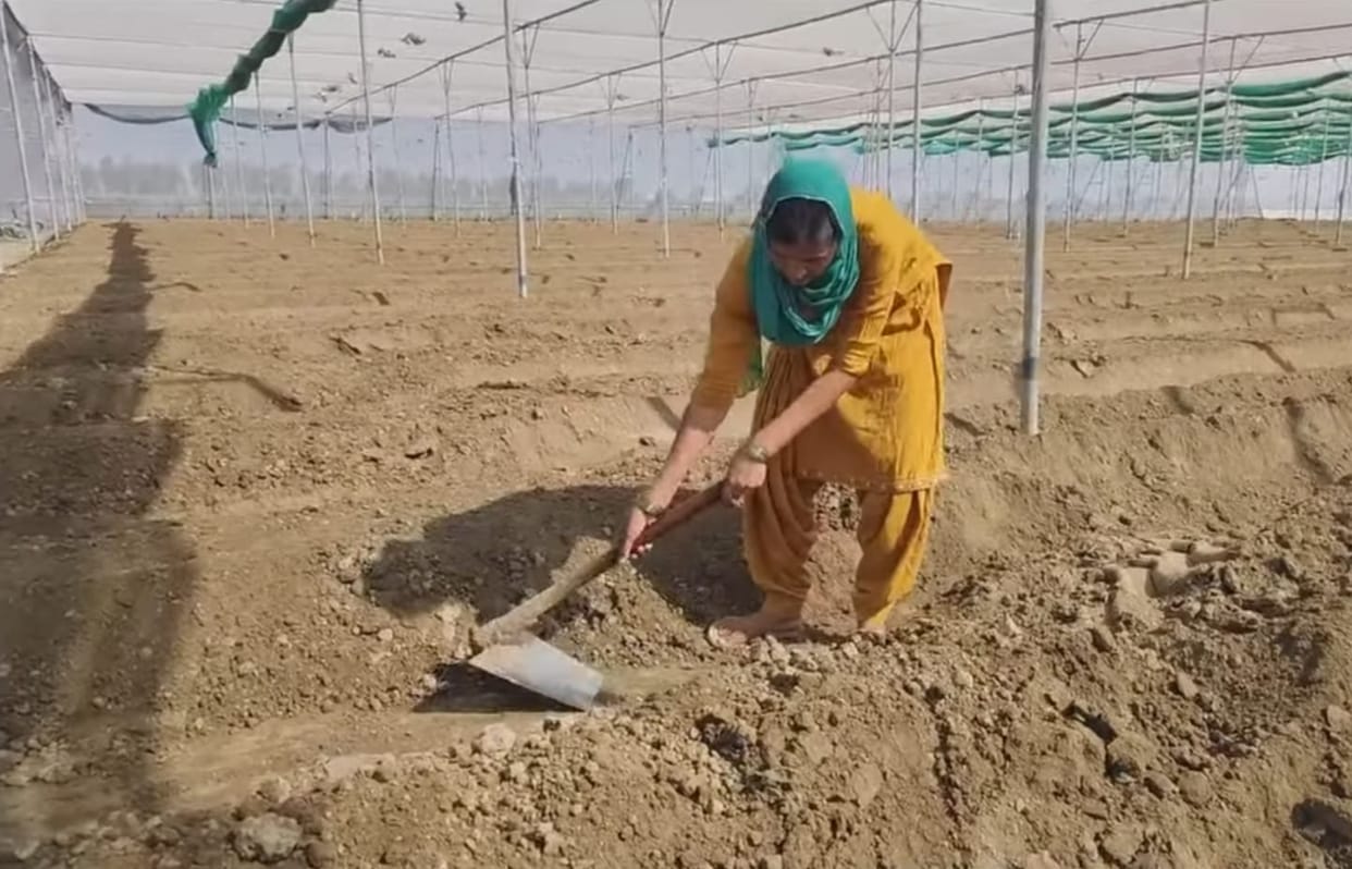 Hard work changed his fortune, earning Rs 30 lakh annually from net farming