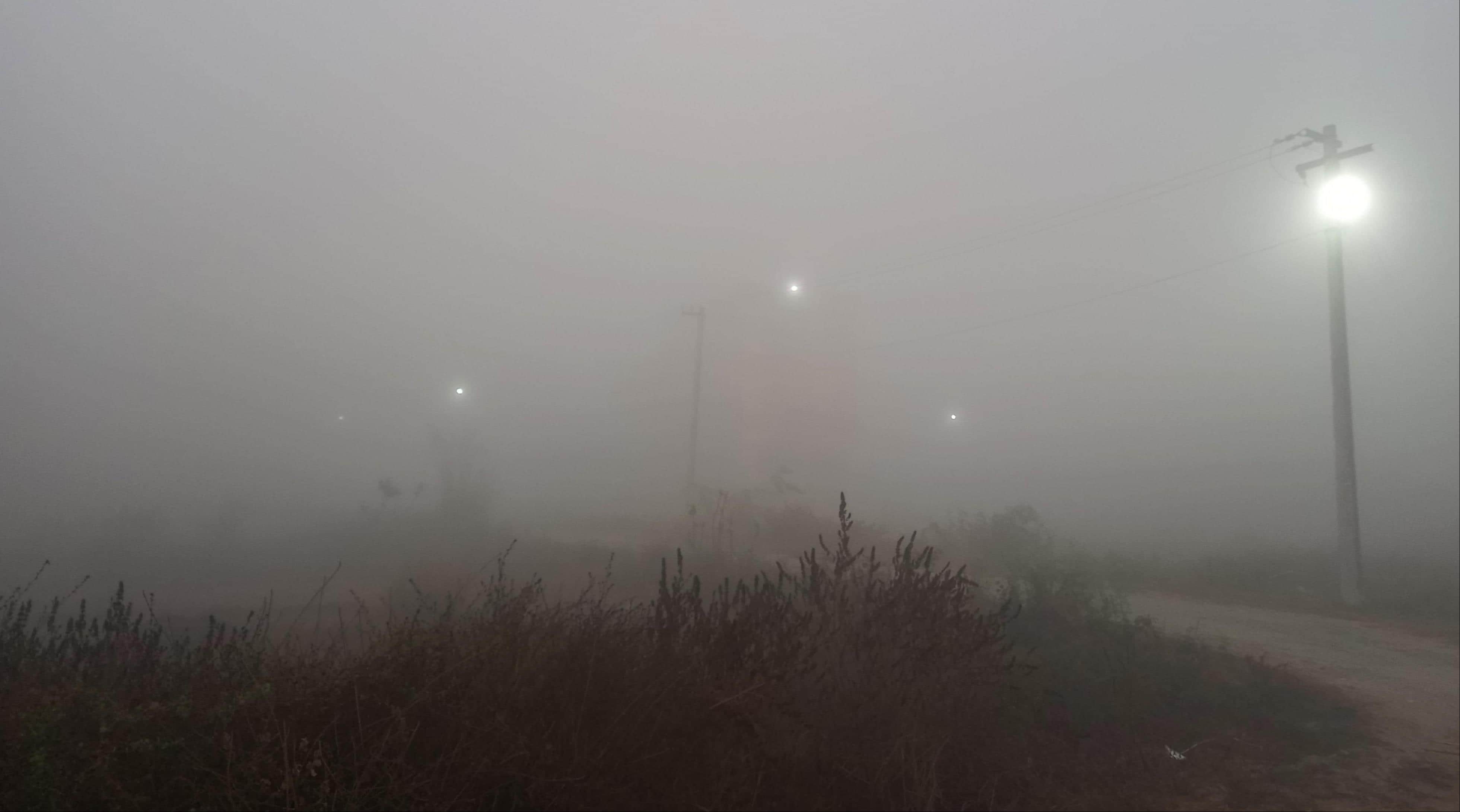 बिजनौर में शुक्रवार की सुबह छाया कोहरा। संवाद