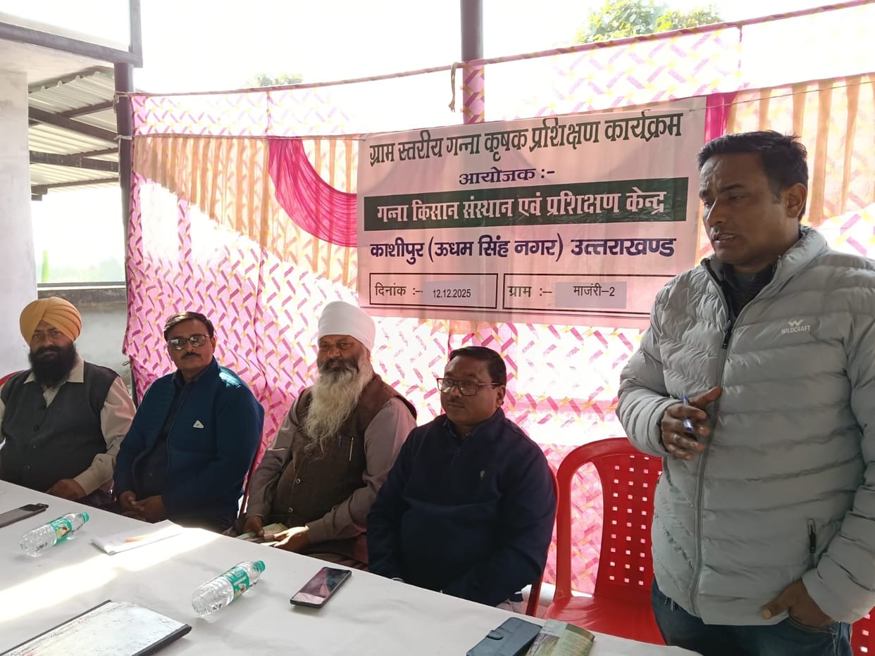 Information about improved varieties of sugarcane was given.