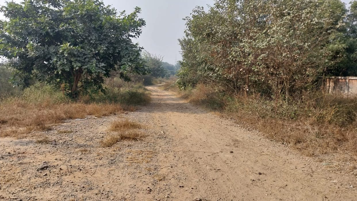 Construction of roads and culverts in Aligarh division