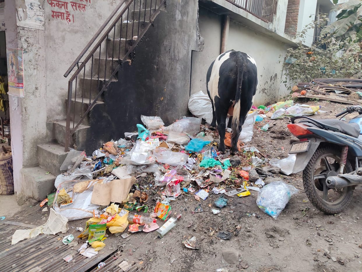 Garbage collection rates have risen, yet heaps remain.