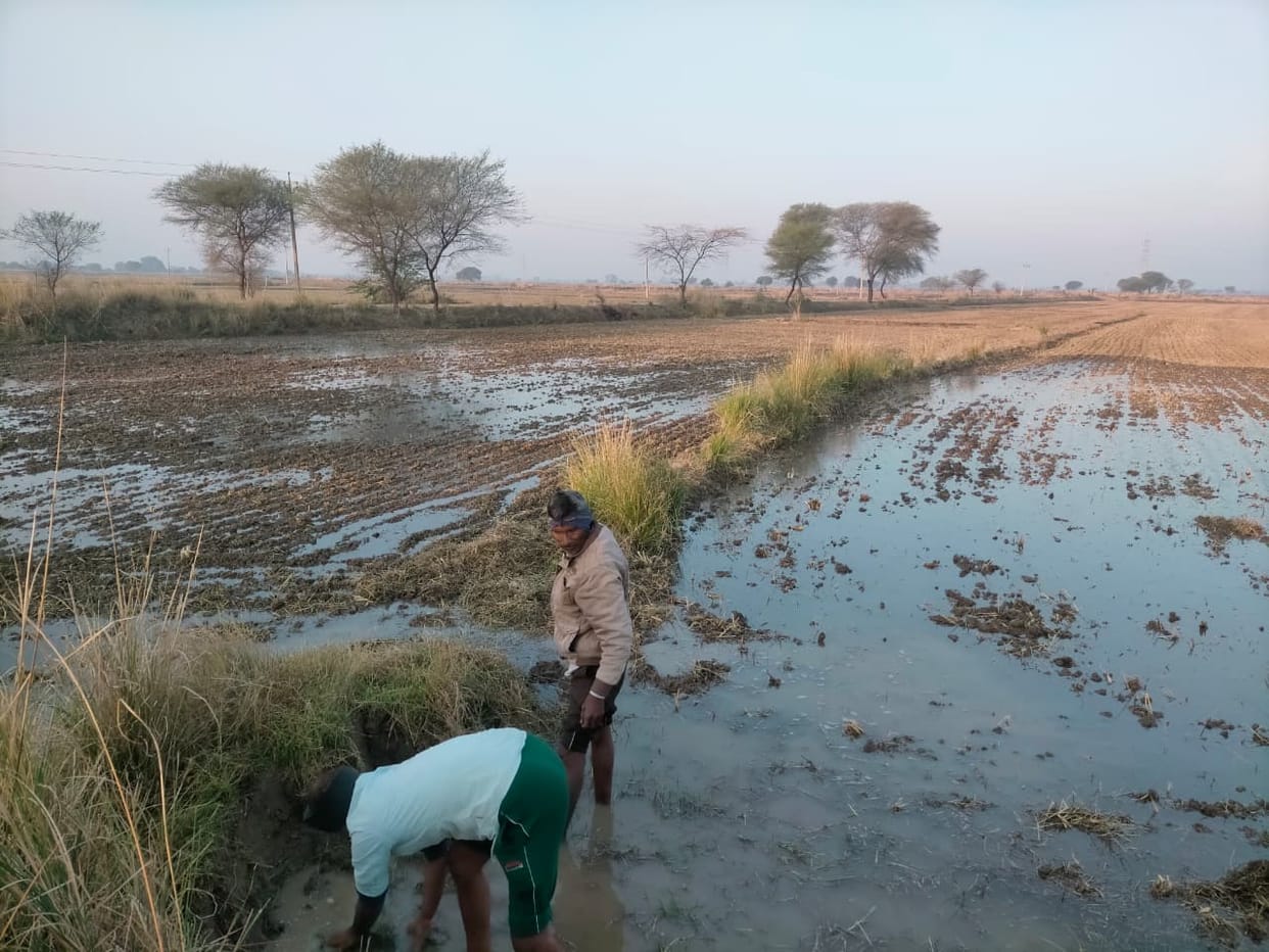 SIR process complete, but notices will be sent to 48,000 voters