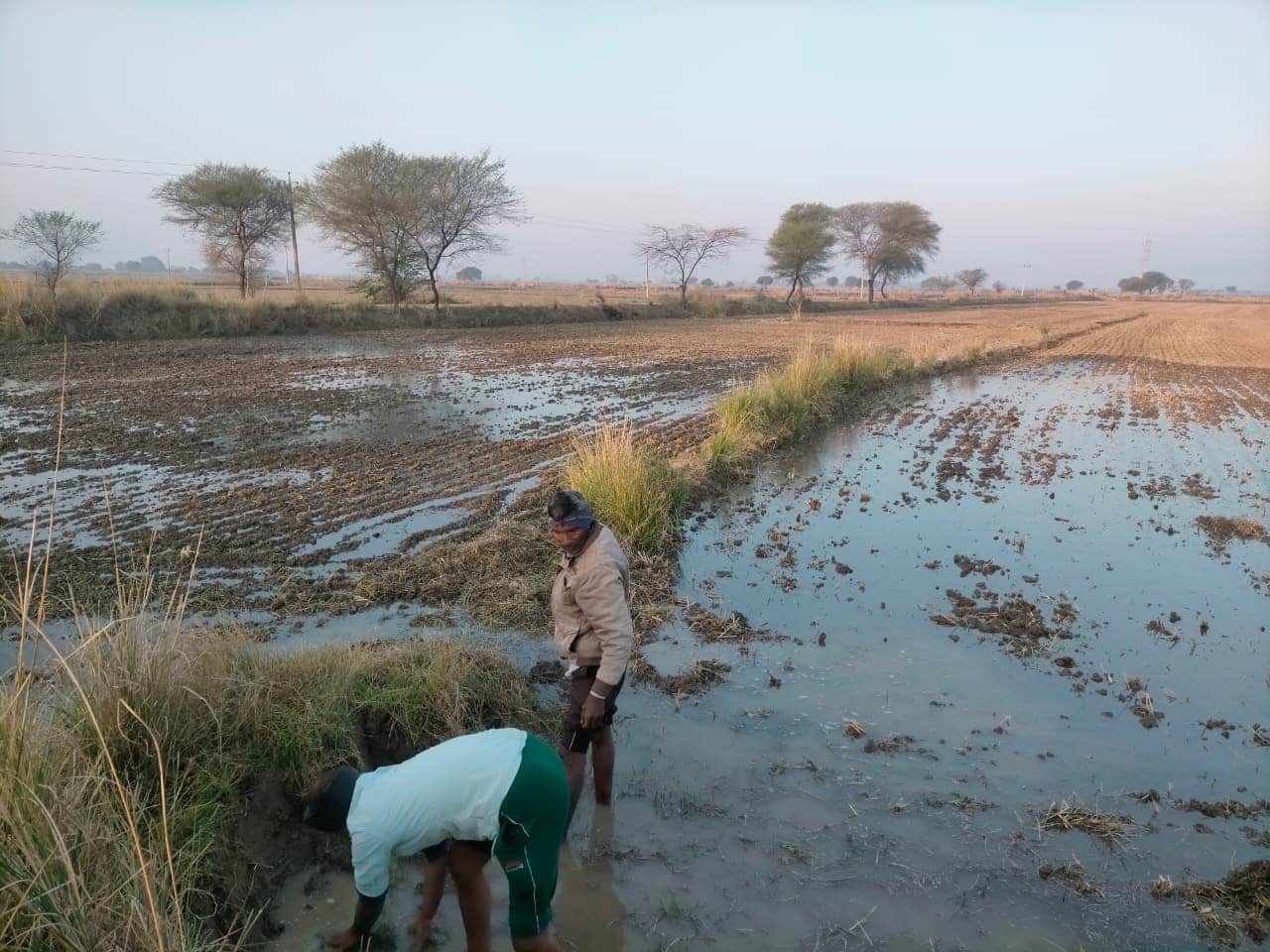 नहर ओवरफ्लो, होने से किसानों की फसल हुई जलमग्न