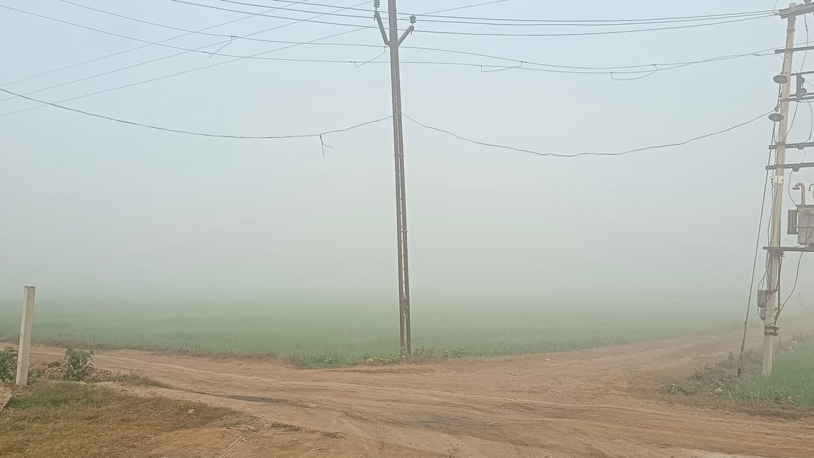 Dense fog brought chill to the morning, with the night temperature dipping to 8.5 degrees Celsius.