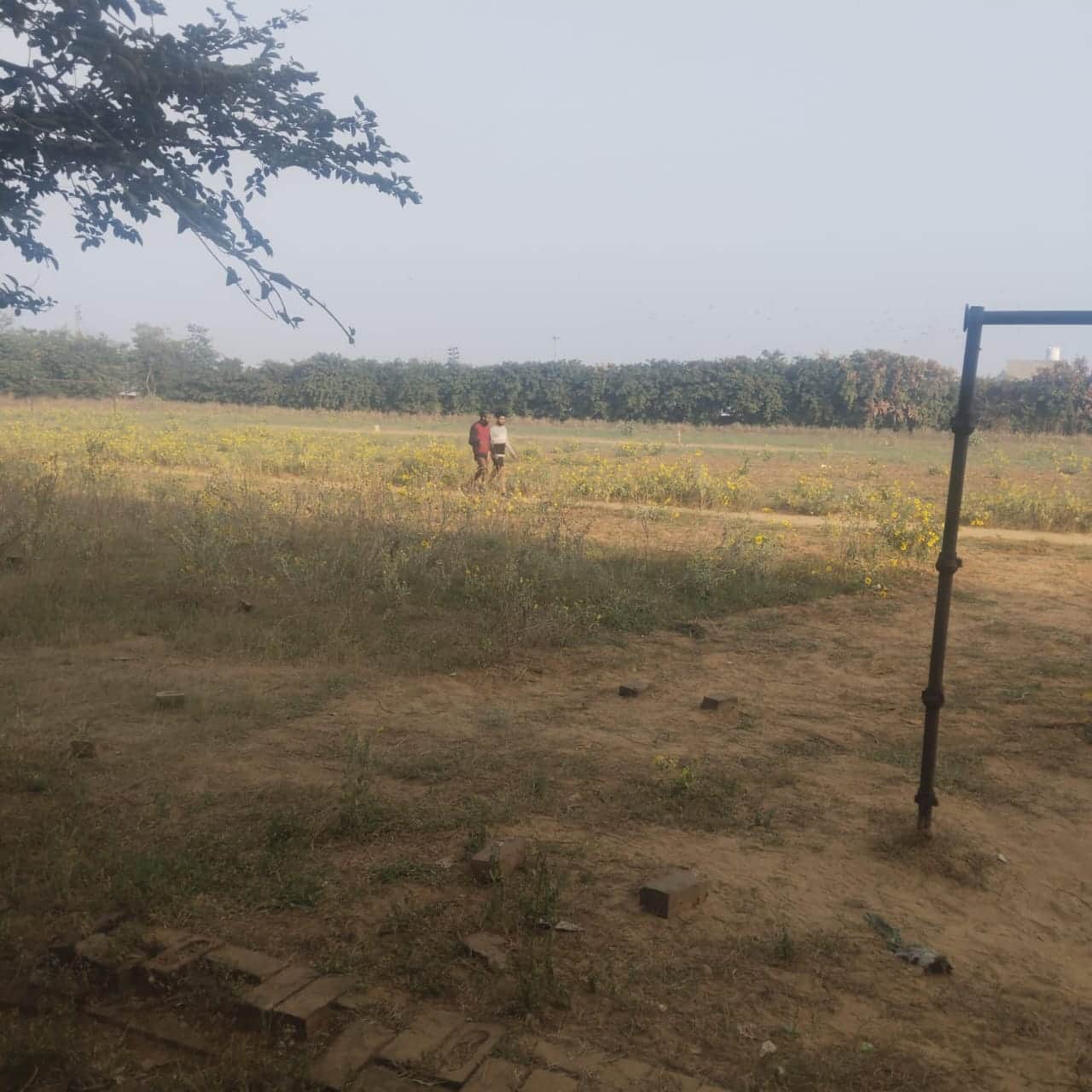 धारूहेड़ा खेल स्टेडियम का बदहाल ग्राउंड। संवाद