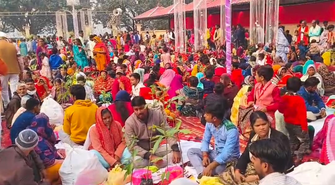 217 couples tied the knot