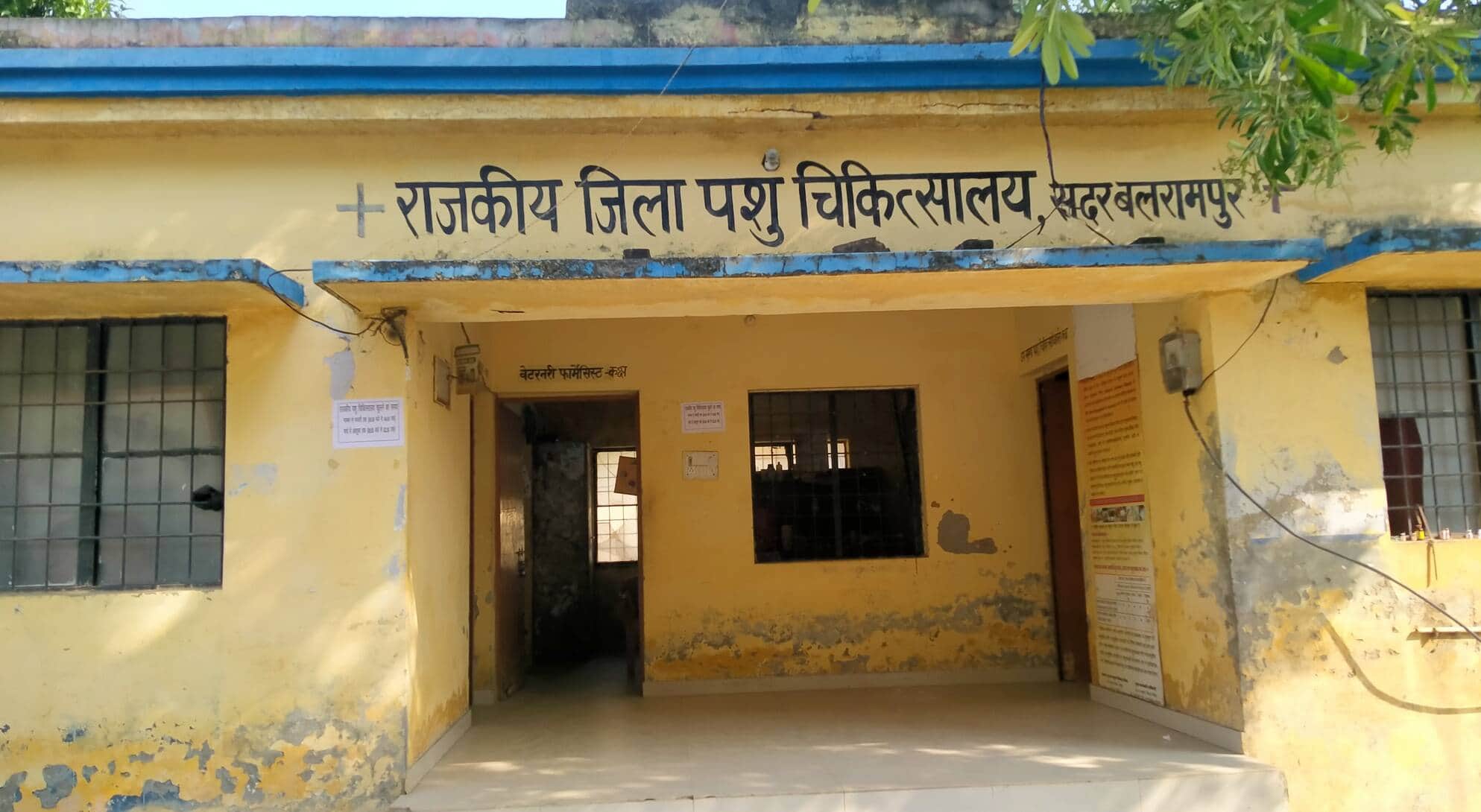 बलरामपुर में स्थित राजकीय पशु चिकित्सालय।-संवाद